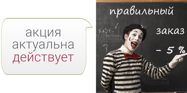 все товары со скидкой 5% (акция) 